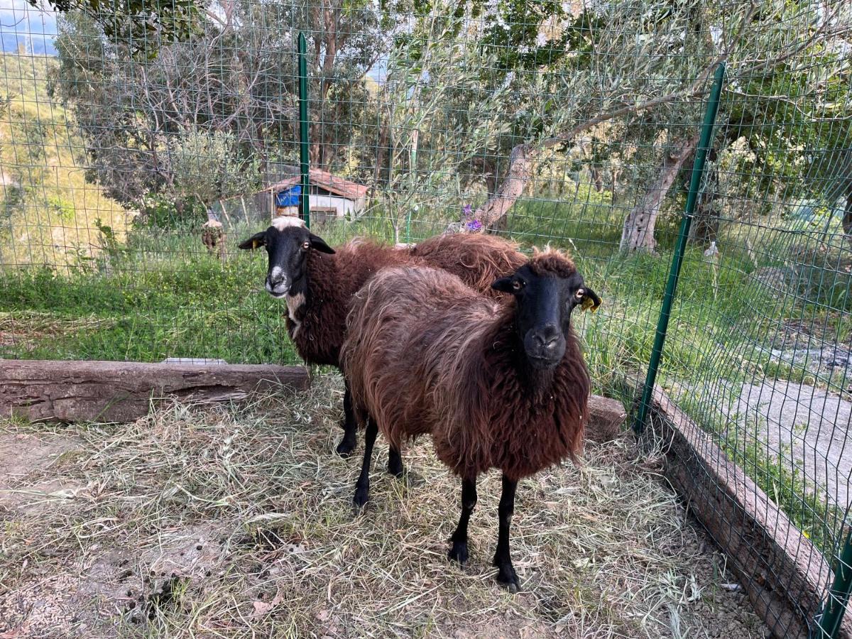 Appartamento Casale Carolea Sarrotino Esterno foto