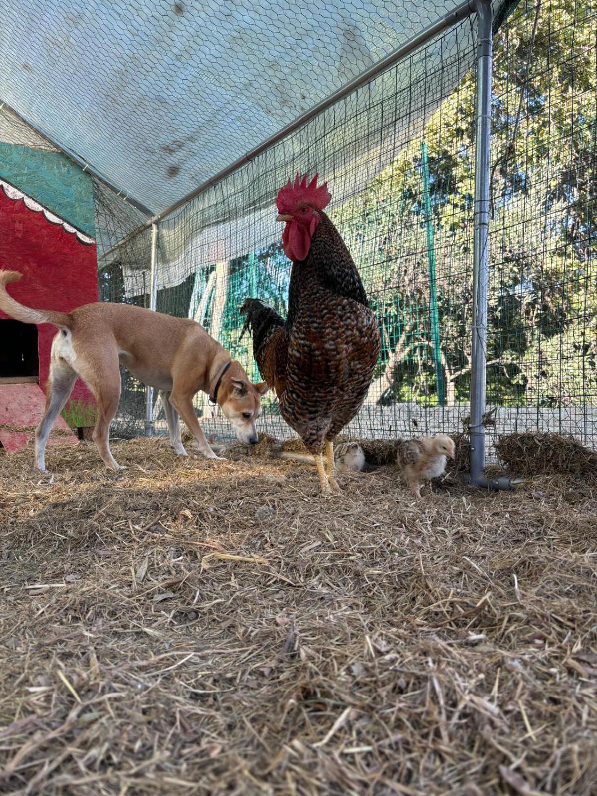 Appartamento Casale Carolea Sarrotino Esterno foto